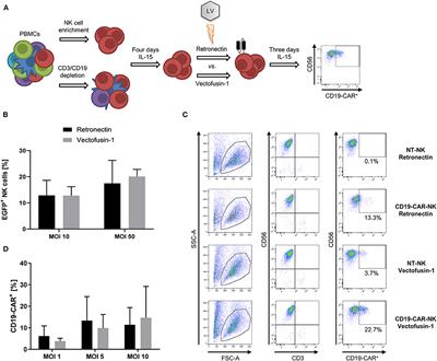 High Cytotoxic Efficiency of Lentivirally and Alpharetrovirally Engineered CD19-Specific Chimeric Antigen Receptor Natural Killer Cells Against Acute Lymphoblastic Leukemia